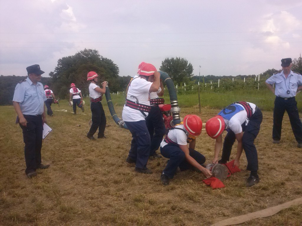 !cid_ii_1477bcc8cae1f3e2